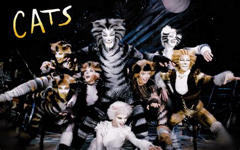 And I knew how to let the <b>cat</b> out of the bag. . Famous song from cats the musical